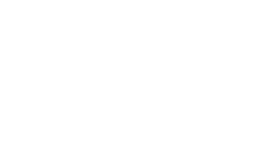 AU Services Group